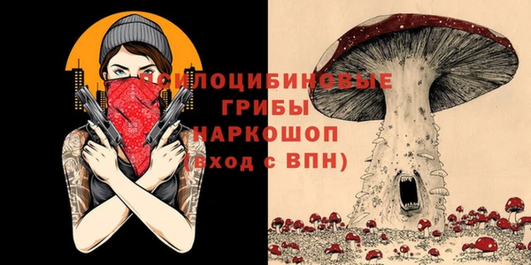 таблы Зеленокумск