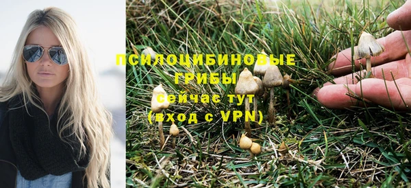 тгк Зеленодольск