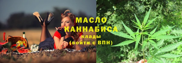 тгк Зеленодольск