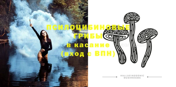 тгк Зеленодольск