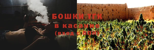 тгк Зеленодольск